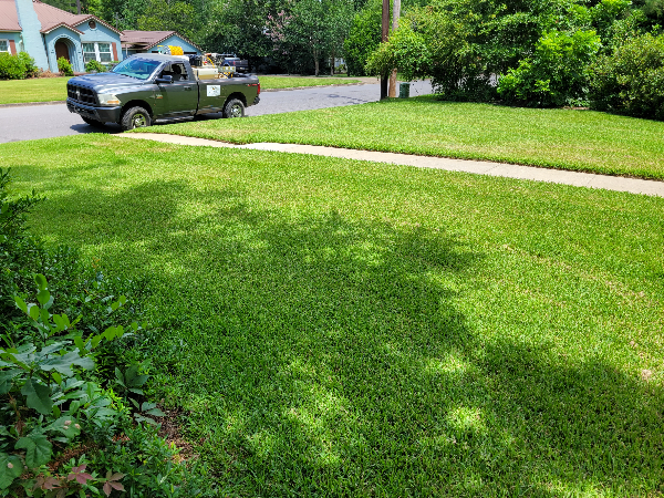 Dothan Alabama Lawncare MonksLawncare.com